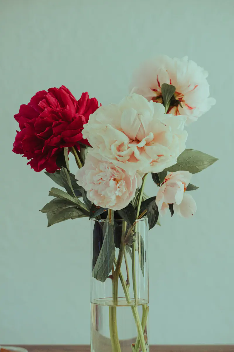 Bình hoa sàn lớn với cỏ lau