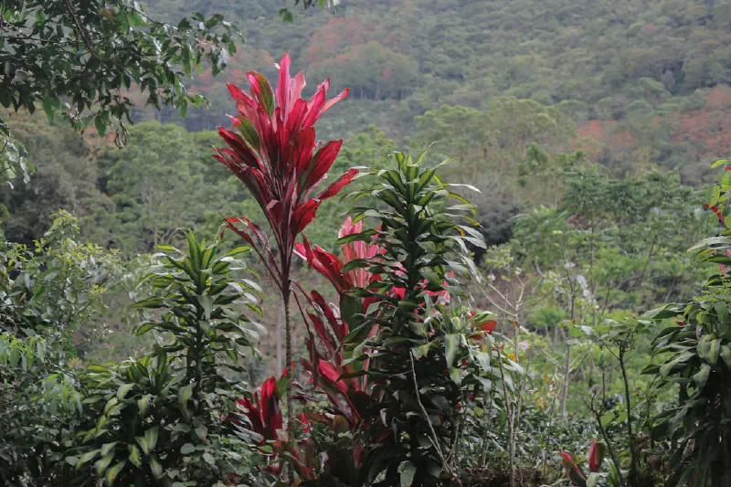 Chán Chăm Sóc Hoa Tươi? Khám Phá Ưu Điểm Vượt Trội Của Hoa Giả Ngoài Trời!