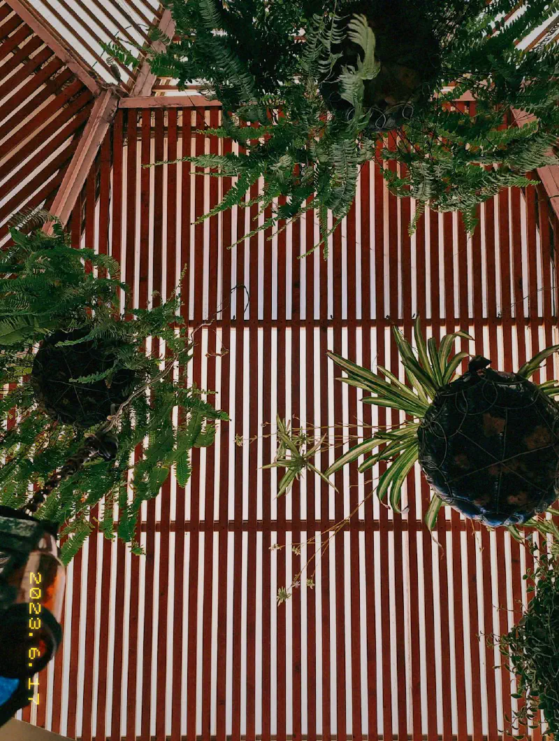 Dây Lá Giả Cũ Thành Hoa Hậu: Bí Kíp "Nâng Tầm" Cedar Garland Không Sợ Héo úa!