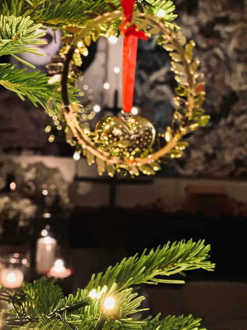 Dây hoa Garland lá bách xù và quả mọng