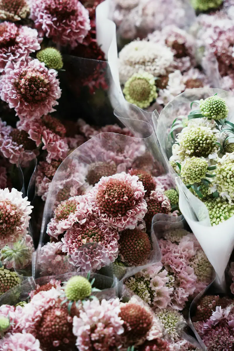 Sửa chữa hoa giả bị rụng