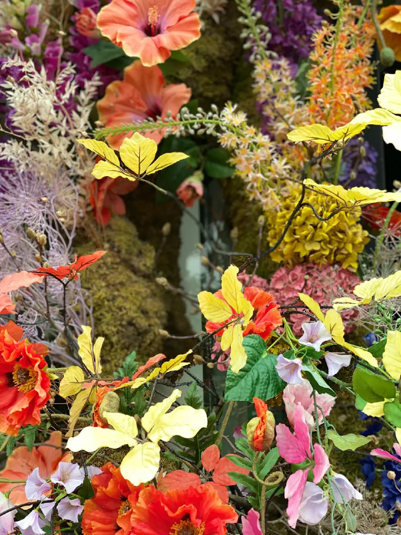 Cây xô thơm Nga với hoa xanh tím và lá bạc