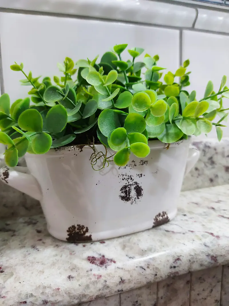 Cây cảnh giả là gì