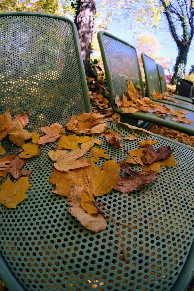 Trái cây trang trí theo mùa