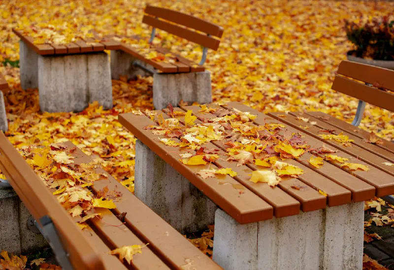 Trang trí sân vườn mùa đông với các điểm nhấn